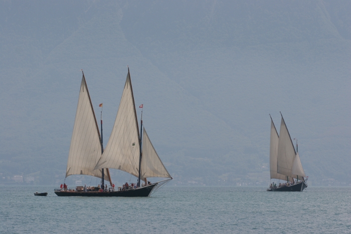 Regates Vieux Bateaux - 146